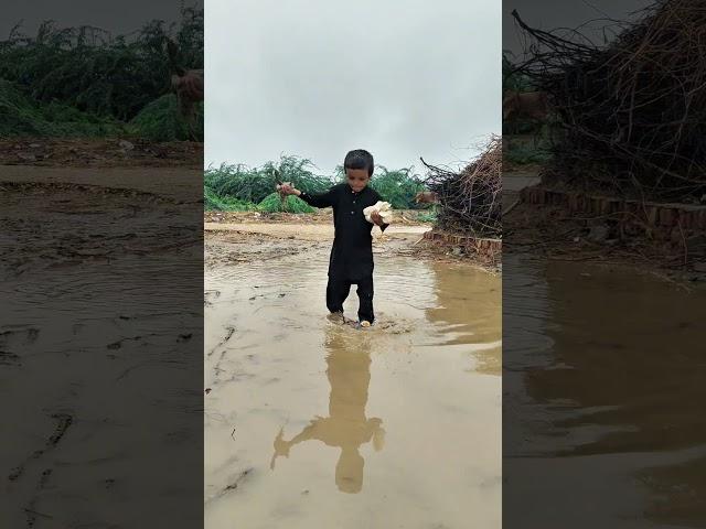 barish mein kabutar or bache ko Rescue Kiya  kabutar sad video #trending #shorts #viral