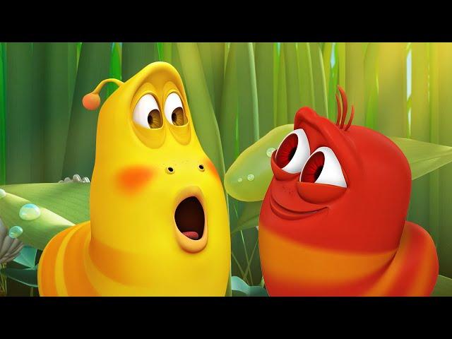 LARVA | Самых симпатичных Личинка | Мультфильмы для детей | WildBrain