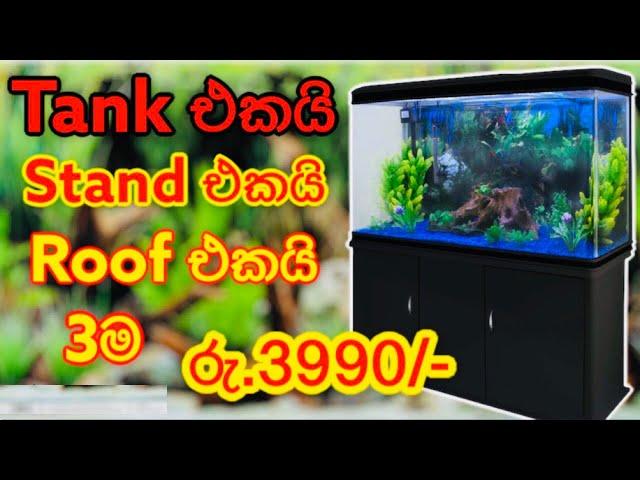 Fish tanks in Sri Lanka | Best price in Sri Lanka | Aquarium | Fish farm | පොකුණු