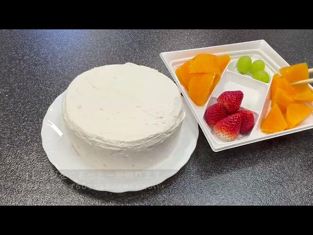 手作りケーキ用フルーツセット