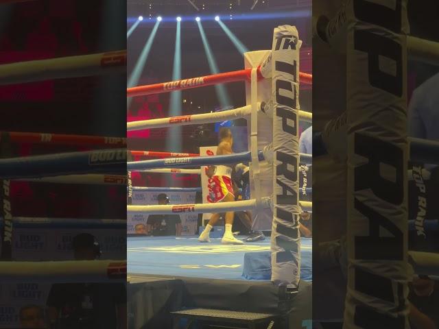 ABRAHAM NOVA KNOCKS OUT JONATHAN ROMERO