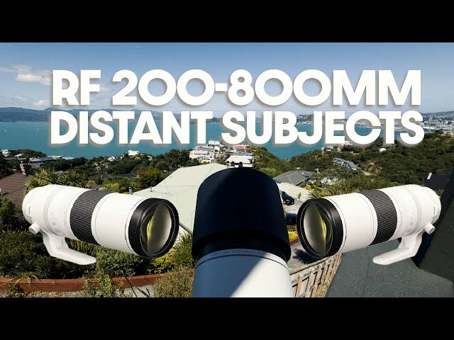 Ultimate Zoom With Canon's RF 200-800mm Lens! But watch the distant subjects!