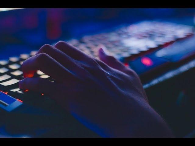 Web Research and Entry[Restaurants]