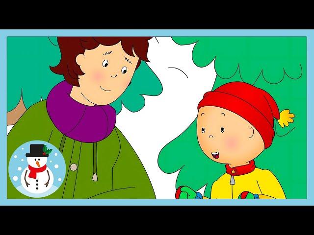 PICKING A CHRISTMAS TREE!  ️ | HAPPY HOLIDAYS | WildBrain Kids