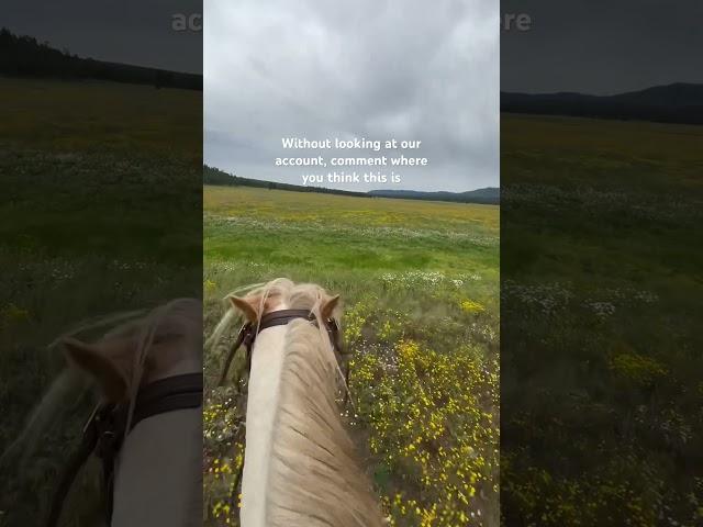 You get 1 guess! #duderanch #sprucedale #horseriding #rustic #vacation #authentic