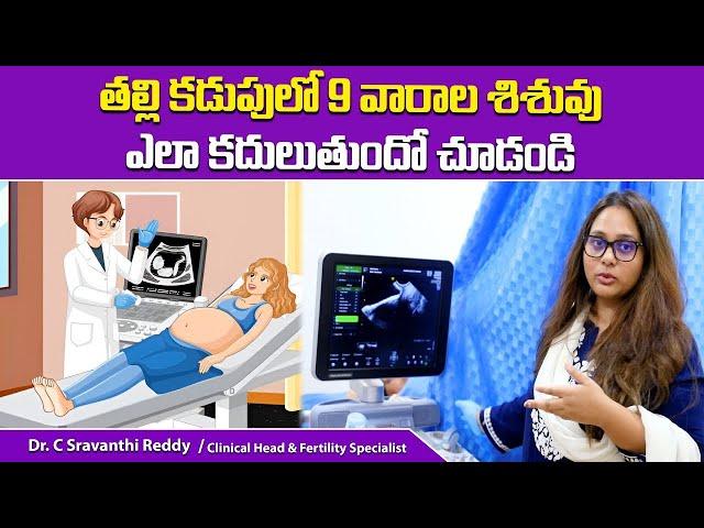 9 Weeks of Pregnancy: Live Ultrasound Scans Video || Dr C Sravanthi Reddy Fertility Specialist