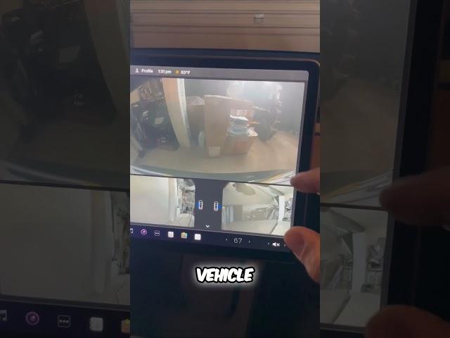 Revolutionary Tesla Security: Sentry Mode Explained! 