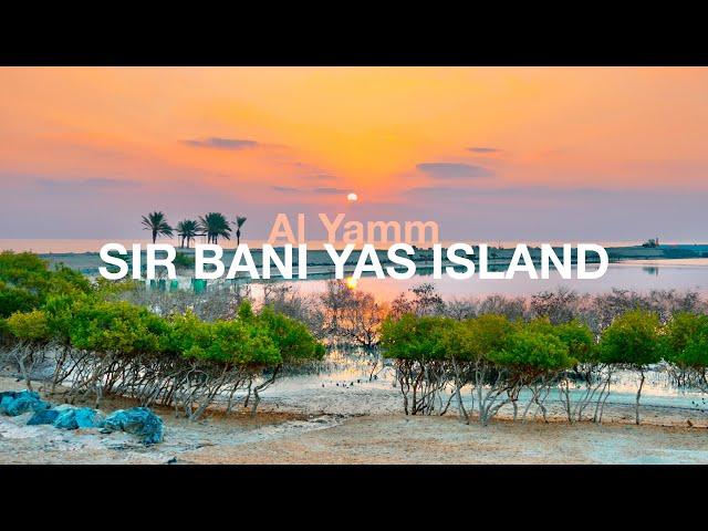 A Day on Abu Dhabi's Biggest Private Island, Sir Bani Yas