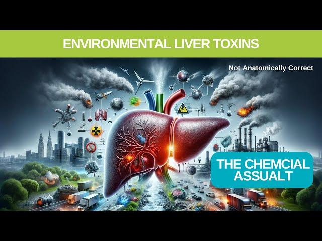 Environmental Liver Toxins - The Chemcial Assualt