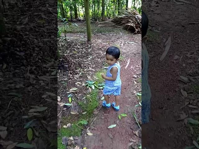 Baby's day out in areca nut farm || Nudishree