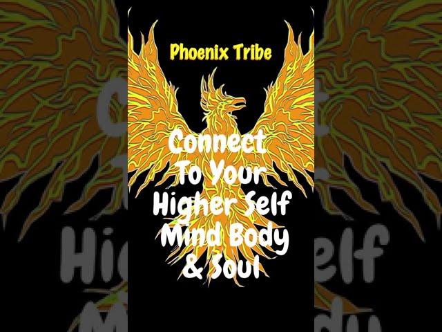 Phoenix Tribe @RazDazThemArt #shorts