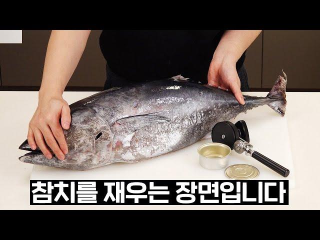 캔참치는 사드세요..... 제발