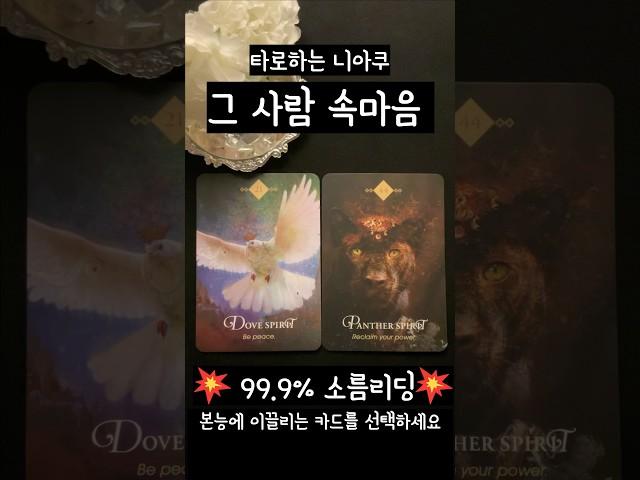 [타로] 지금 이순간,  그 사람 속마음