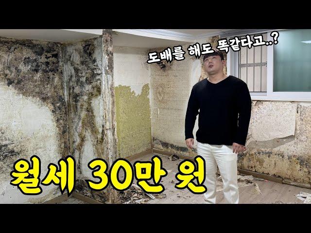 한국인들 가성비 찾다가 ㅈ되는 집