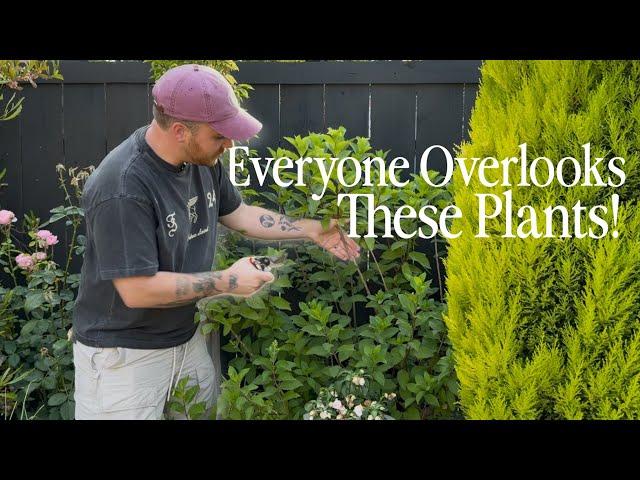 I Bet You Didn’t Know You Could Propagate All These || Visit Our Garden