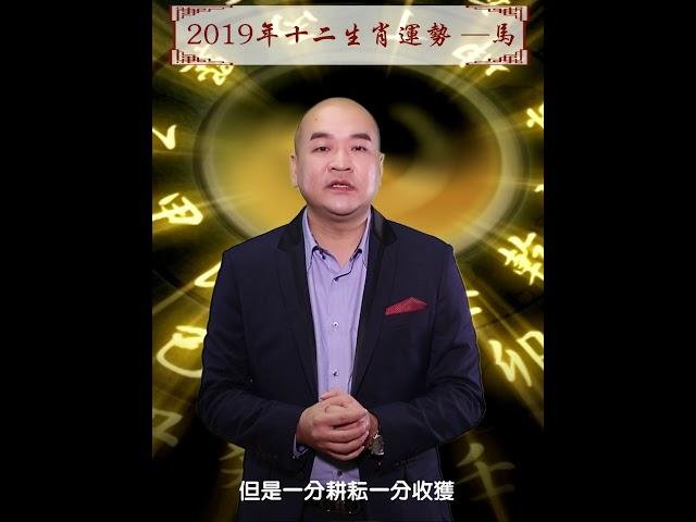 2019年生肖運程——馬  靈機文化獨家 開年必看運勢指南