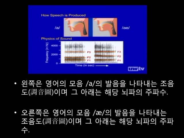 영어 공부의 결정적 시기 - (조기 언어 교육에 관한 뇌과학의 새로운 발견)