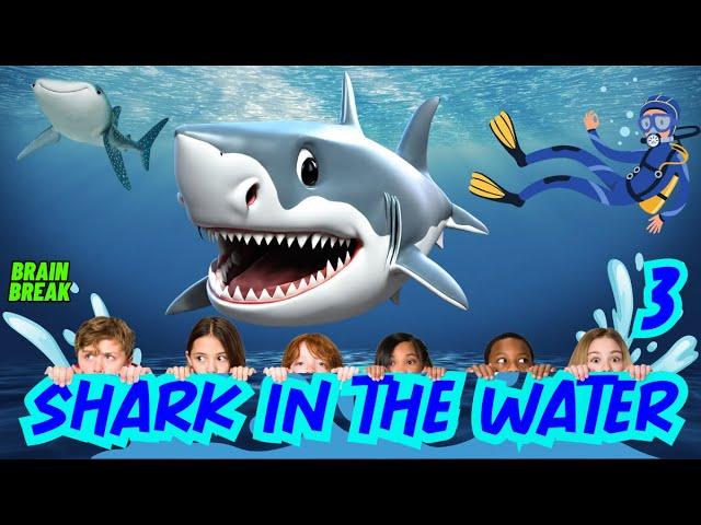 SHARK IN THE WATER GAME 3 | EXERCISE BRAIN BREAK FOR KIDS | RUN HIDE AND STRETCH | FLOOR IS LAVA