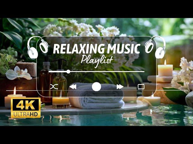 Tranquil Tunes for Sleep and Meditation  Comfort Your Mind and Body  Calming Music