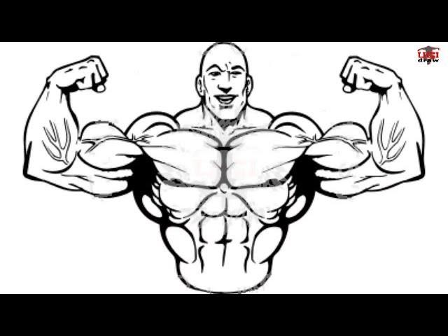 How to Draw Muscles Step by Step Easy for Beginners/Kids – Simple Muscle Drawing Tutorial