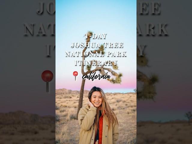 What to Do in Joshua Tree National Park Day Trip Itinerary 