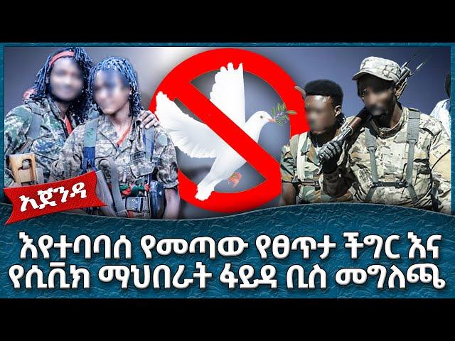 እየተባባሰ የመጣው የፀጥታ ችግር እና የሲቪክ ማህበራት ፋይዳ ቢስ መግለጫ - Ahadu TV :