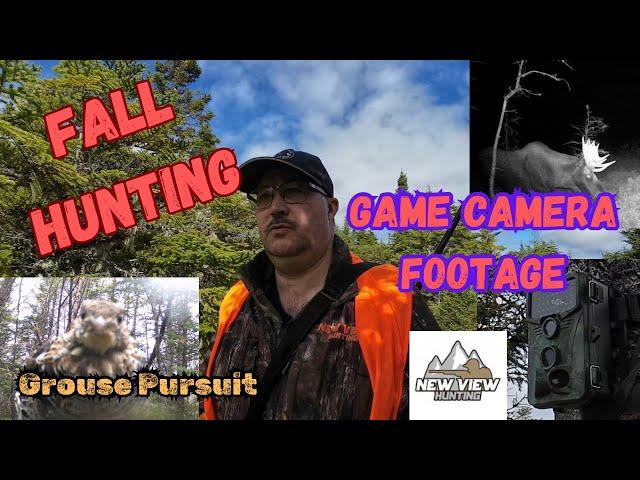 Fall Hunting - The Pursuit for a GROUSE - Game Camera MOOSE - A Great Day in The Newfoundland Woods