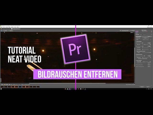 Bildrauschen entfernen mit Neat Video | Premiere Pro Noise Reduction