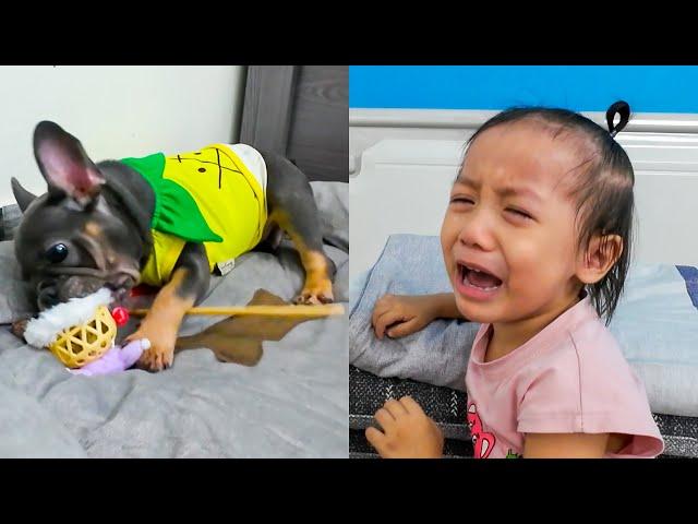 Diem cried because Mun Dog broke Diem's ​​favorite lantern