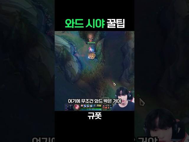 상대 와드 위치 전부 다 알아내는 방법