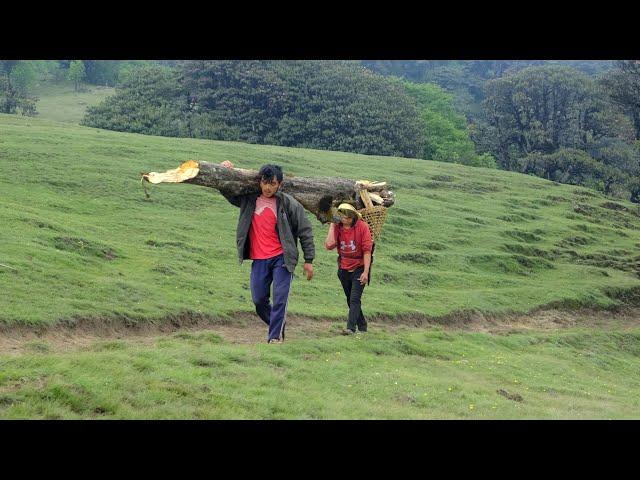 Himalayan life of Nepal