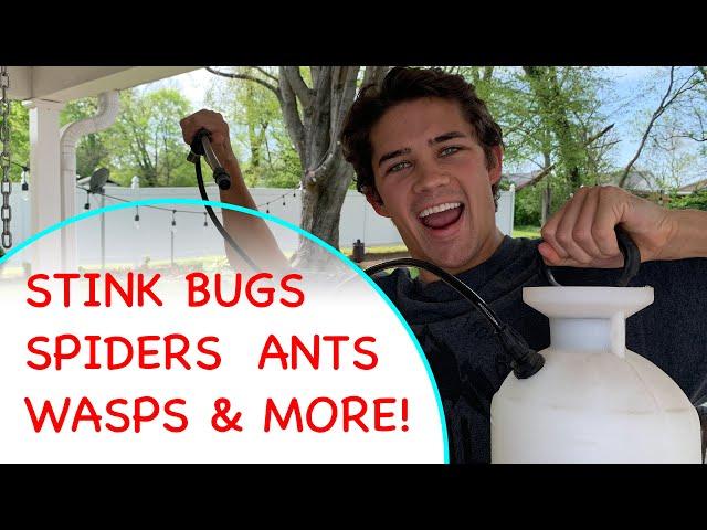 DIY Pest Control for Beginners