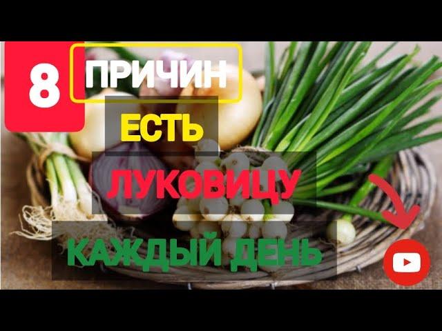 ПОЛЬЗА ЛУКА | ЛУКОВИЦА | РЕПЧАТЫЙ ЛУК | ЗЕЛЁНЫЙ ЛУК