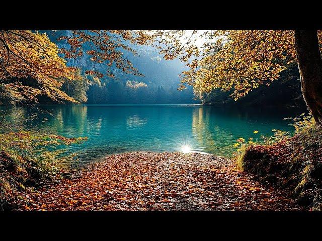 Ultimate Stress Relief with Enchanting Autumn Scenery  Beautiful Relaxing Music ~ 4K Fall Ambience