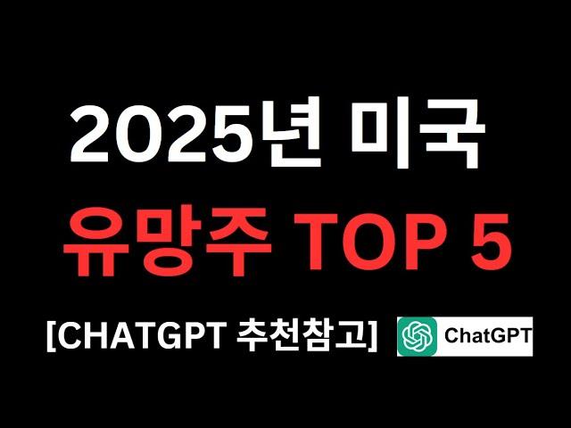 2025 미국주식 유망주 추천 TOP5 (CHATGPT 추천참고)