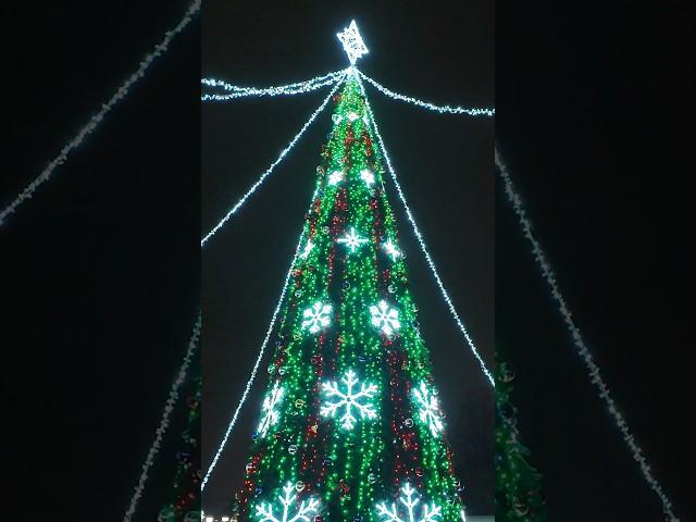 Minsk New Year. Minsk Tractor Plant. Happy New Year 2025!