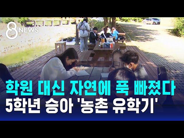 학원 대신 자연에 푹 빠졌다…5학년 승아 '농촌 유학기' / SBS 8뉴스