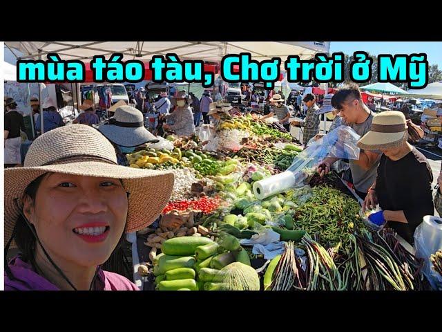 Người Việt ở Mỹ đi chợ trời mua táo tàu, đào tiên, đồ cổ giá đặc biệt