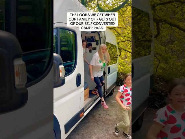 The looks we get when our family of 7 gets out our self converted Campervan #viralshort #vanlife