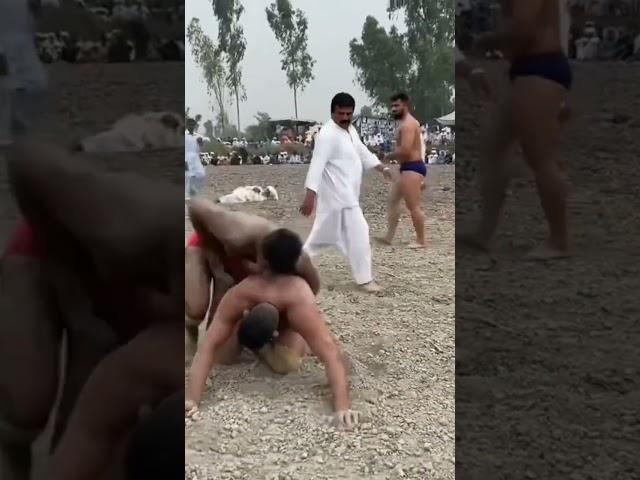 #wrestling #mela #kushti
