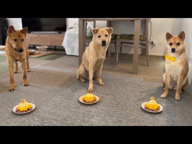 みんなで誕生日ケーキを食べました！