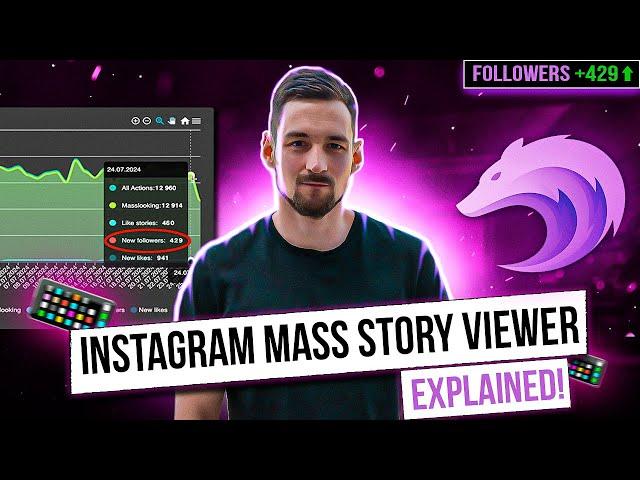 Instagram Mass Story Viewer Explained - Wolfgrowth Review 2024