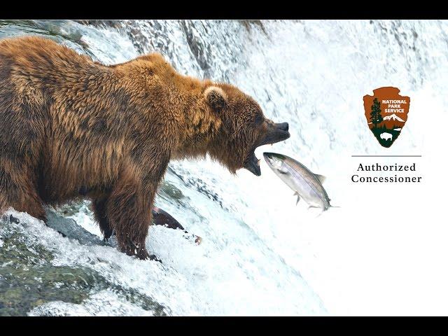 Brooks Lodge in Katmai National Park