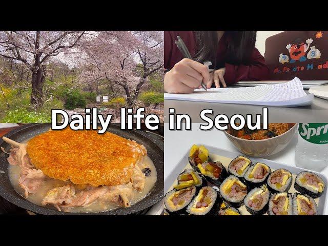 VLOGㅣ줄 서는 식당 찐맛집 후기ㅣ오리 백숙 죽으로 전 부처 먹기ㅣ극락의 집 김밥 먹부림ㅣ먹기 위해 운동하는 일상ㅣ새로운 도전, 공부하기ㅣ초콜릿이 통으로 들어간 비쵸비 과자 후기