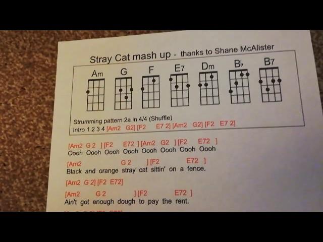 Stray Cat Mash Up