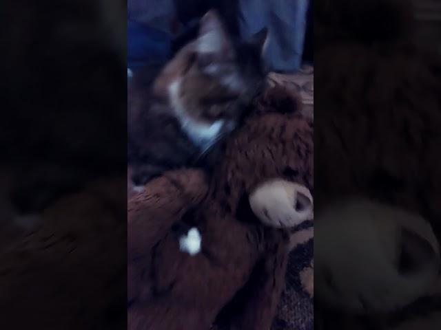 im ready ! Set go toy time!