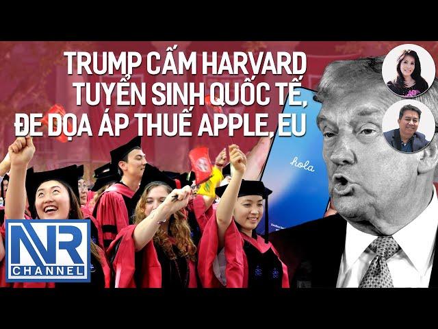 Trump cấm Harvard tuyển sinh quốc tế, đe dọa áp thuế 25% apple, 50% EU | #NVR