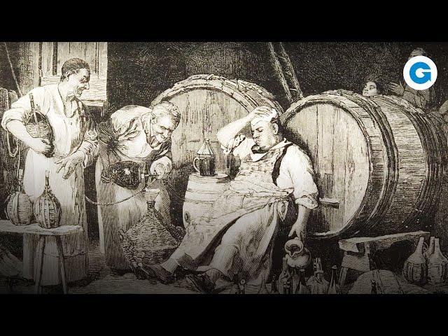 Wine's History and its Ecological Future | Full Documentary