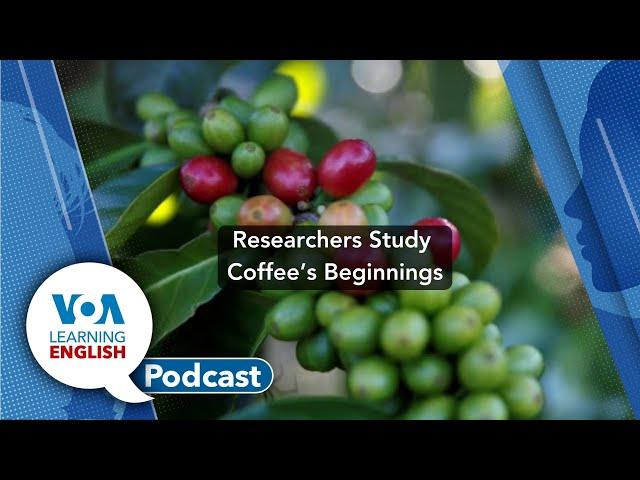 Learning English Podcast - Coffee's Beginnings, Dubai Rainfall, Internet Bots