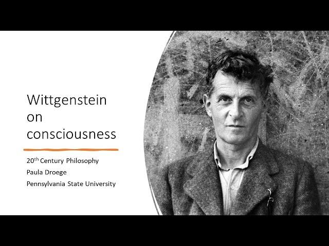 Wittgenstein on consciousness 1